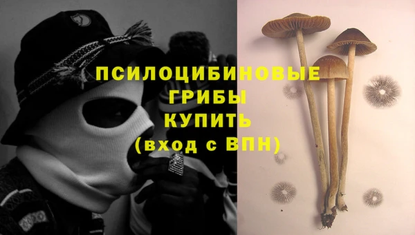 ешки Осинники