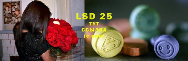 ешки Осинники