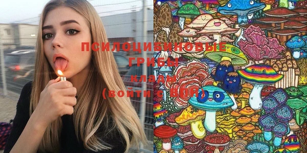 ешки Осинники